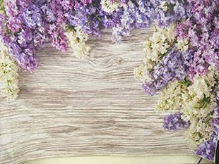 The main poster for this party.