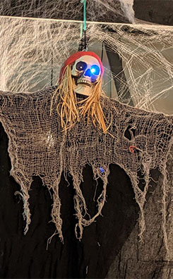 The image of Halloween decoration in the club